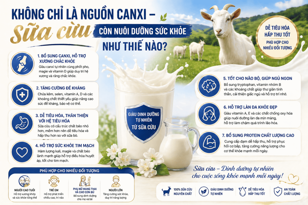 7 lợi ích của sữa cừu